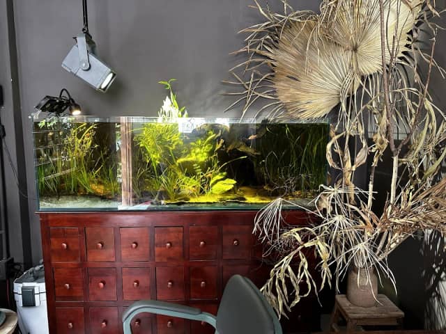 Xào Xạc cafe & plants - Image 1
