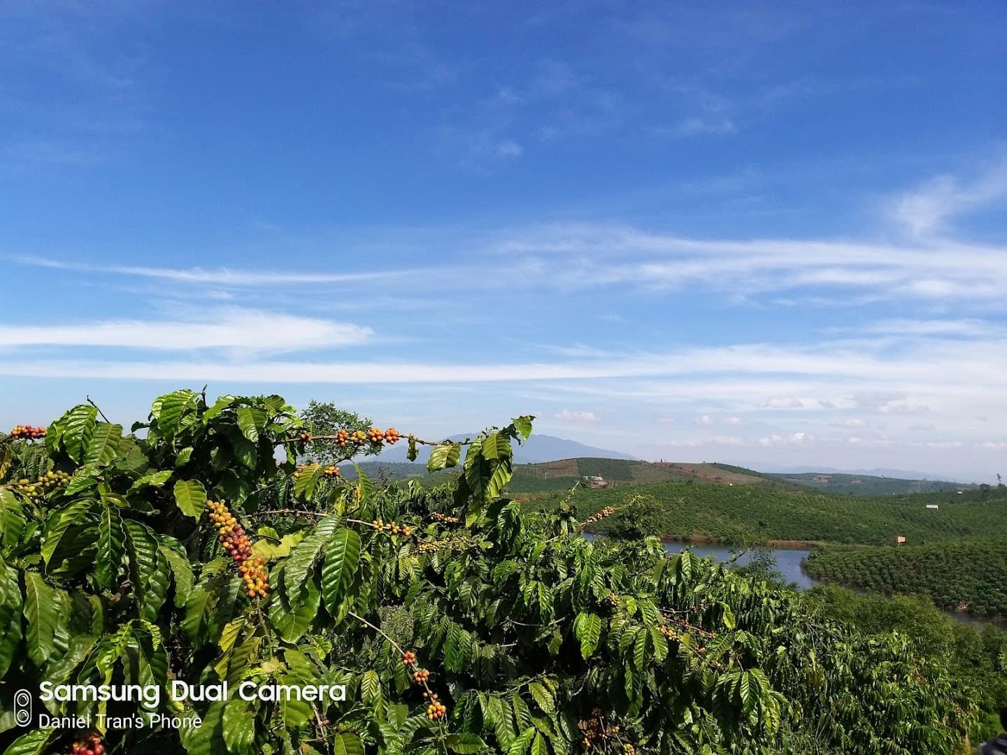Thanh An Coffee - Thanh An Farm