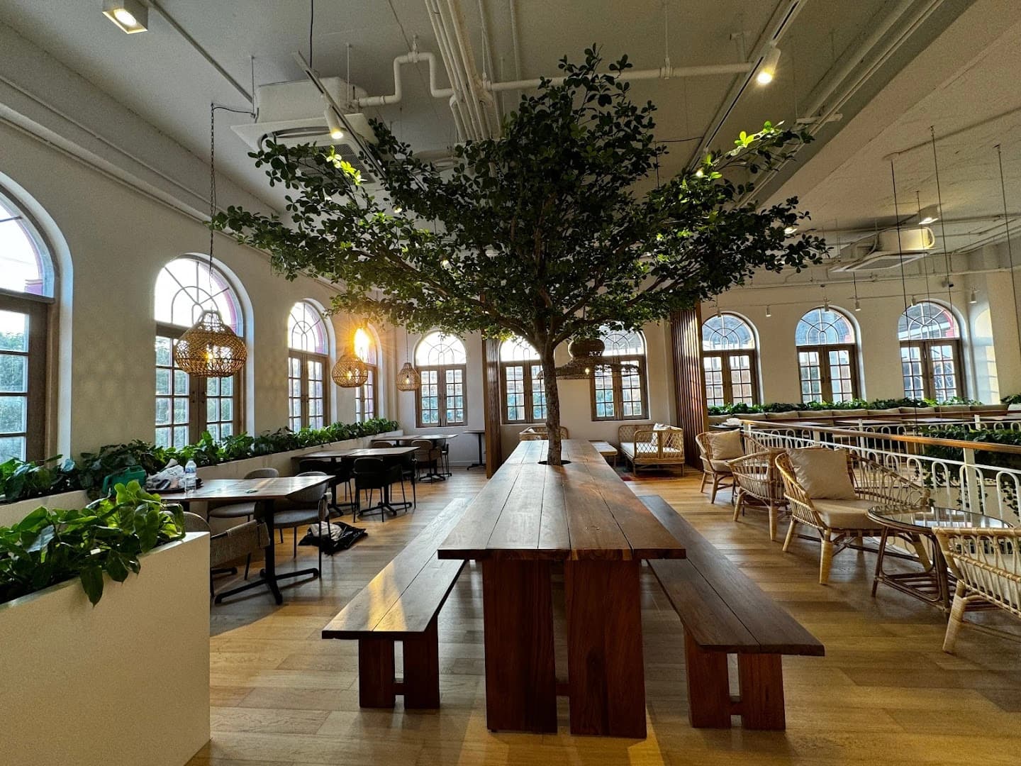 BARTELS Blue Tree - Sourdough Sandwiches & Juicery