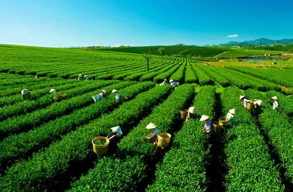 Bảo Lộc, Vietnam