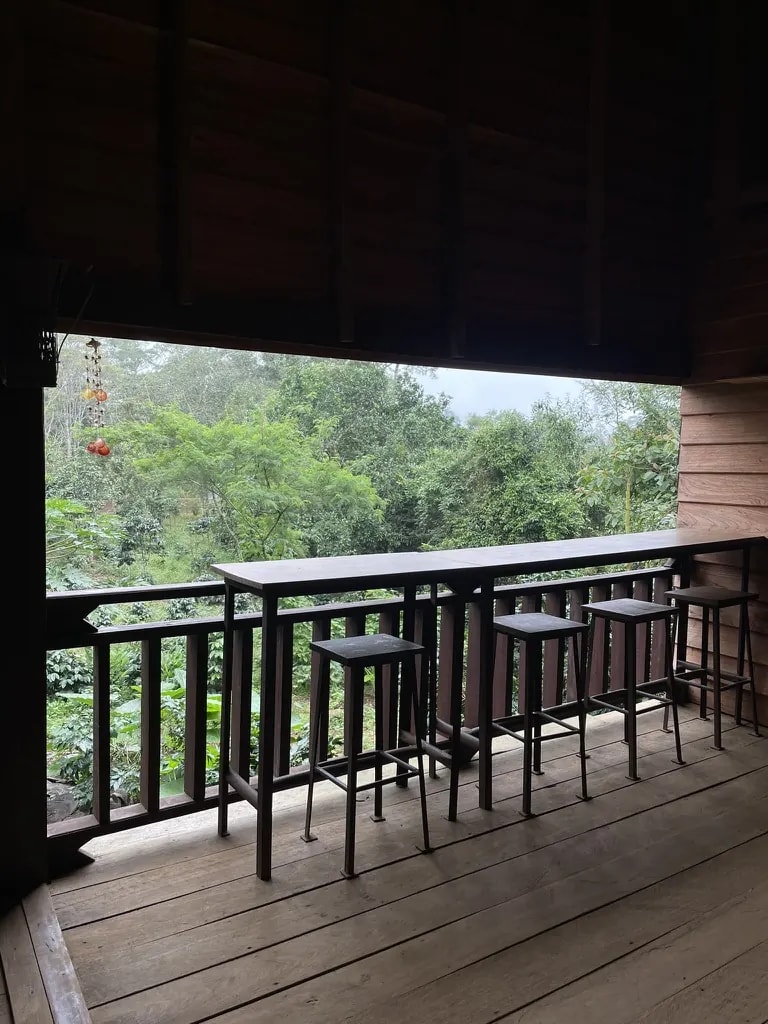 A wooden café balcony with bar seating overlooking a green forest.