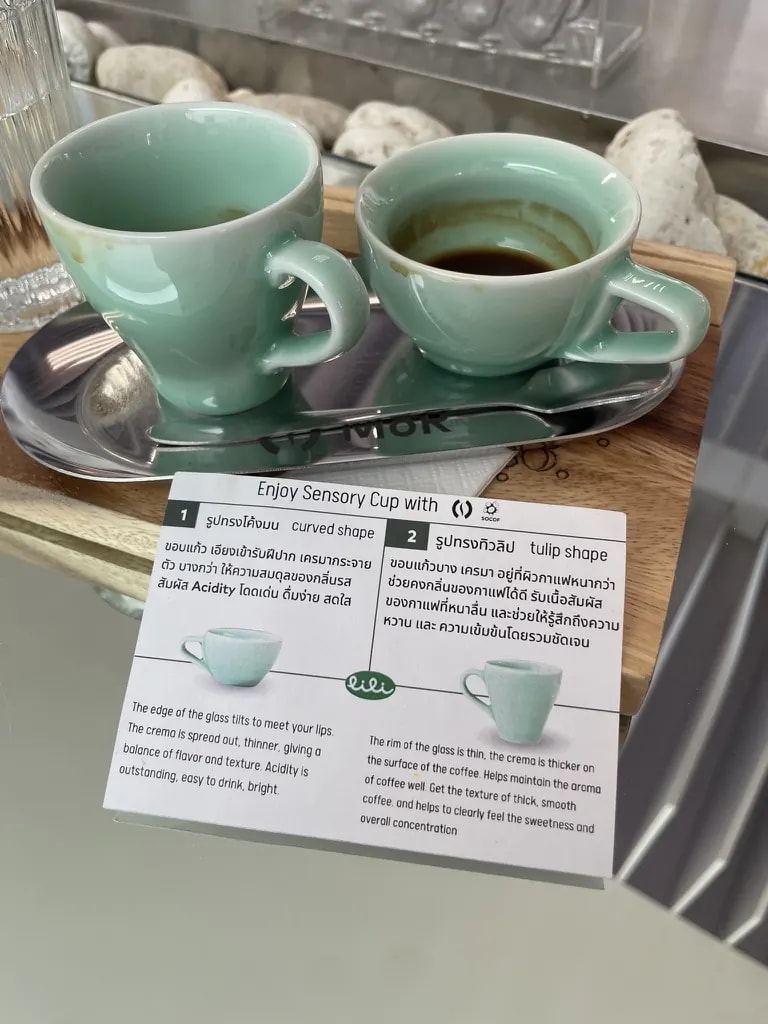 Two green sensory cups comparing curved and tulip shapes.