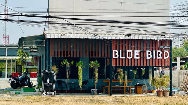 Blue Bird Coffee - Image 1
