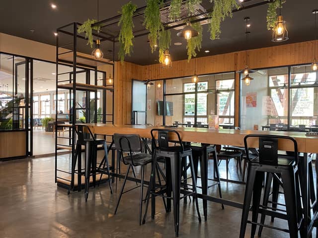 Department of Tea Singha Park x MFU - Image 1
