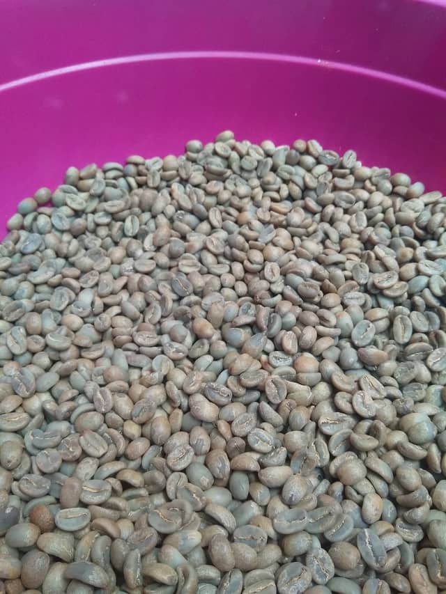 Enjolseng Coffee & Roastery - Image 1