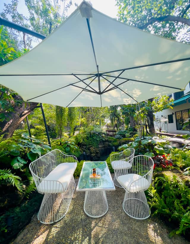 Lae Cher de Cafe - Image 1