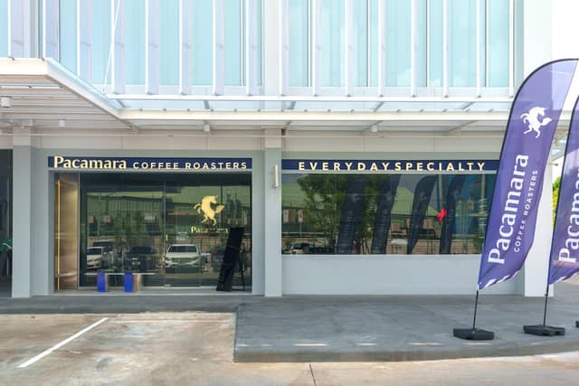 Pacamara Coffee Roasters (Nirvana PORCH) - Image 1